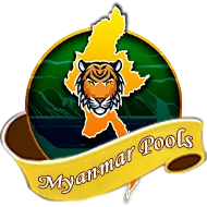 gitarmerdu01.com